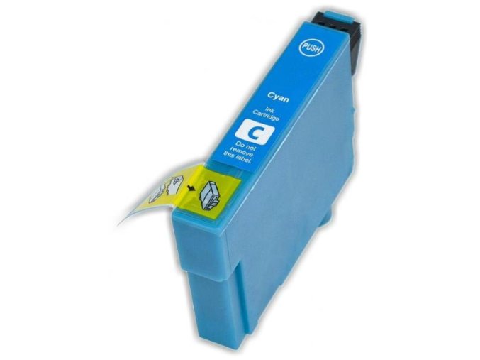 epson C
