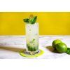 Mojito FT RECIPE1022 2000 85cdb1eb59454847b713713e32e365c0