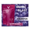 82866 1 berry blast