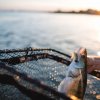 zeck fishing folding rubber net 260027 zander
