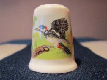 Sběratelský náprstek - TCC Crown Ducal England - Woodpecker