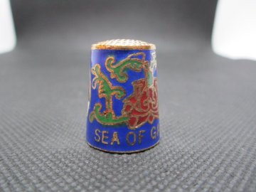 Sběratelský náprstek - Cloisonné - Izrael, Sea of Galilee, jezero, s rybami, na modré