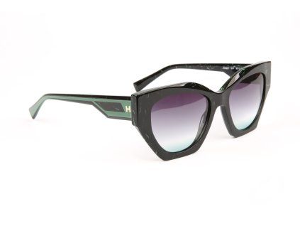 Ana Hickmann Sunglasses HI9221 E01 53