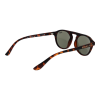 Superdry Napszemüveg SDS-PALMSPRINGS 102 49