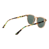 Pepe Jeans Napszemüveg PJ7432 115 52