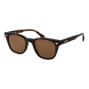 Superdry Napszemüveg SDS 5043 102 50