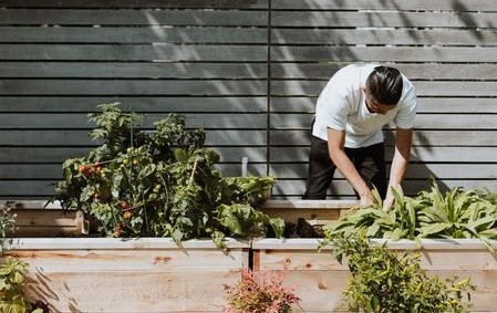 Jak vyrobit vyvýšený záhon ze dřeva za jedno odpoledne