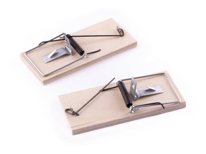 Past na myši dřevěná/2ks