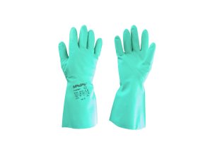 nyQPL4dp0BuI995Rf004NcqjlTNRdD metaMTA4MTc0X3dlYi5qcGc=