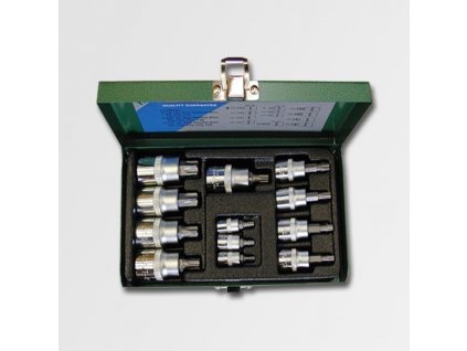 1/4"-3/8"-1/2" Sada hlavic TRX T8-T60 12dílů Honiton