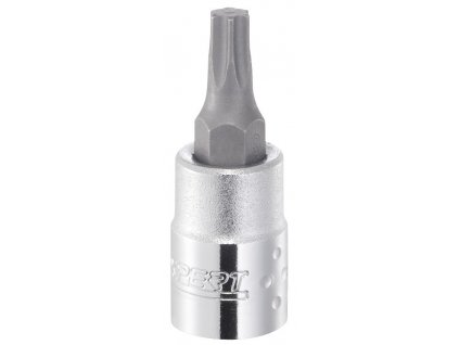 1/4" zástrčná hlavice TORX T6 -T40 (zvolte variantu)