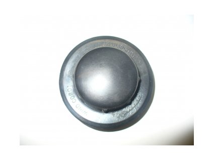 civka se strunou ikra 1