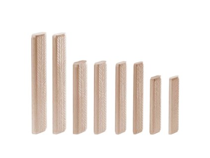 79875 1 domino buk festool d 10x100 120 bu