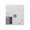 67572 diamantovy delici kotouc standard for stone 300x22 23 3 1x10 mm bosch