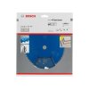 114210 1 pilovy kotouc 160x20 expert for fibre cement bosch