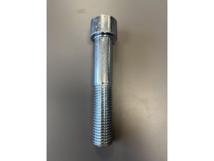 Skrutka M20x110 imbus