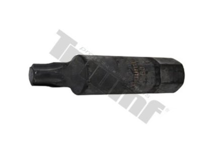 Torx bit nevŕtaný T80 x 100 mm, vstup 6-hr. 22 mm