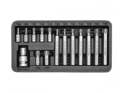 Sada bitů 15 ks TORX box