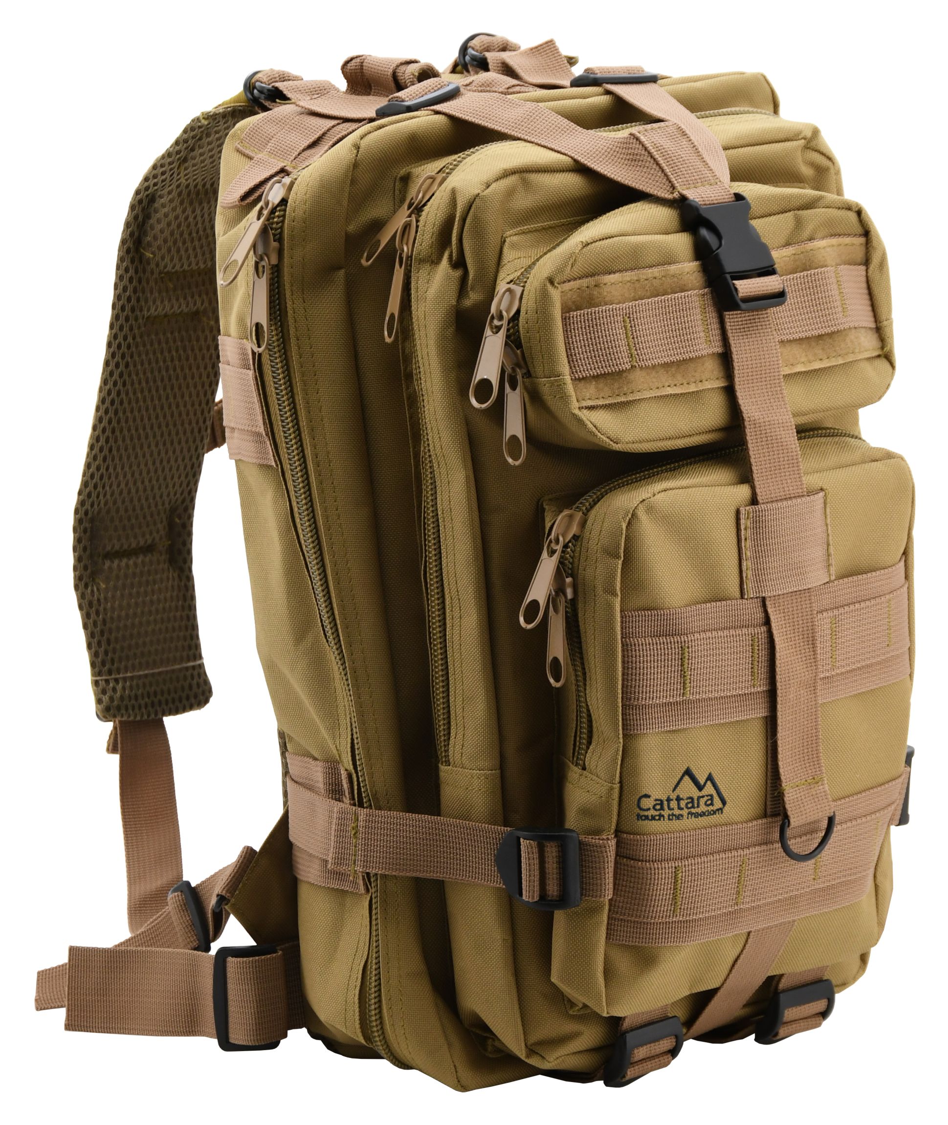 CATTARA 13865 army 30l