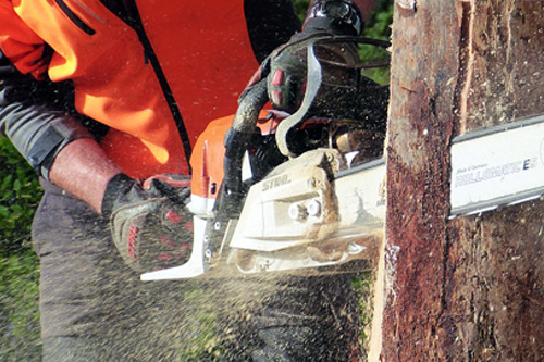 Příprava dřeva na zimní topení