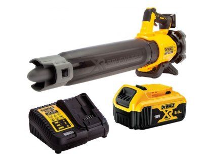 dewalt DCMBL562P1 5 800x800