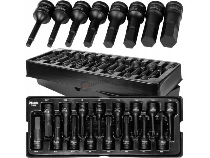 Richmann C1228 Sada kovaných, rázových nástavcov IMBUS H5-H19 a TORX T30-T80 16ks - vložka
