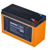 LIION bateria 12V 12AH 5