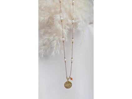 PXL 20260224 105418293~2