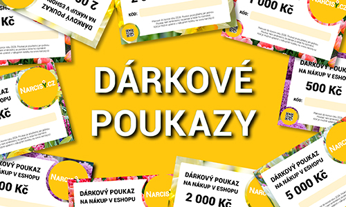 Dárkové kupóny