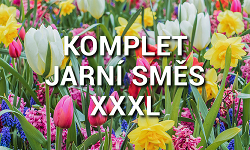 Jarní směs