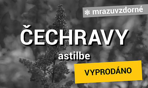 Čechravy