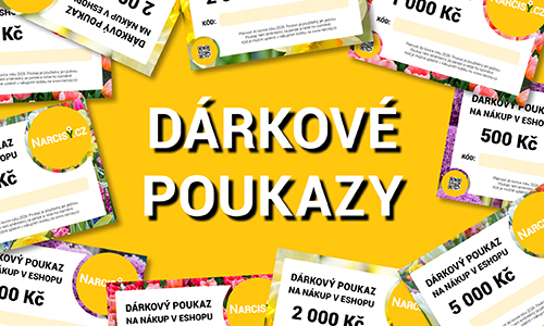Dárkové kupóny