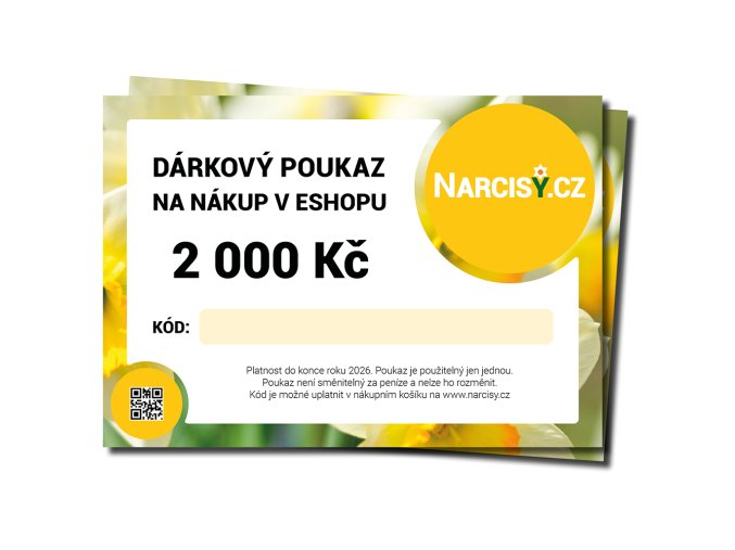 DARKOVY POUKAZ Narcisy cz 2000