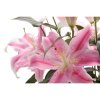 Lilie Light pink 03