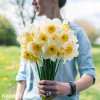 bílooranžový narcis flower record 5