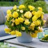 zluta previsla begonie plnokveta 2