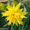 Narcis - Rip van winkle