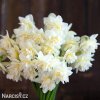 bily plnokvety narcis obdam 4