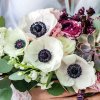 Anemonky The Bride 4