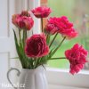 ruzovy plnokvety tulipan chato 5