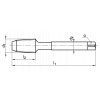 300NPT - Machine tap with straight flutes