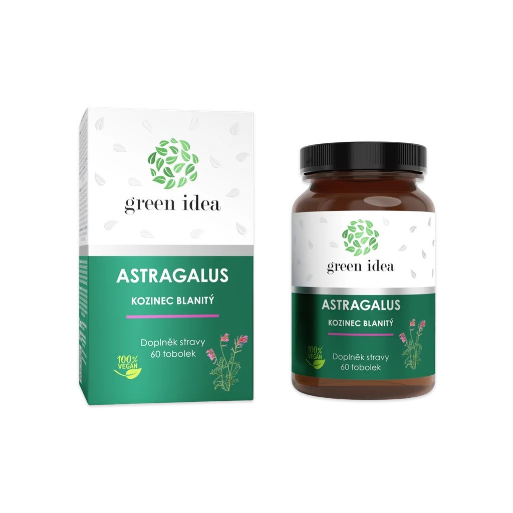 Astragalus membranaceus kozinec blanitý Huang Qi adaptogen Green Idea tobolky