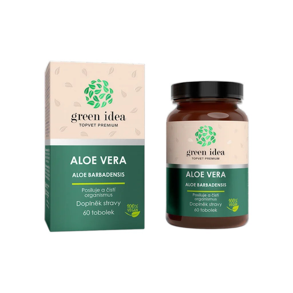 Aloe vera Aloe barbadensis rostlina nesmrtelnosti sukulent Green Idea tobolky