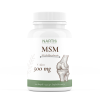 Nartis MSM 500 mg 100 kapslí