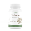 Nartis Tribulus Terrestris 450 mg 60 kapslí