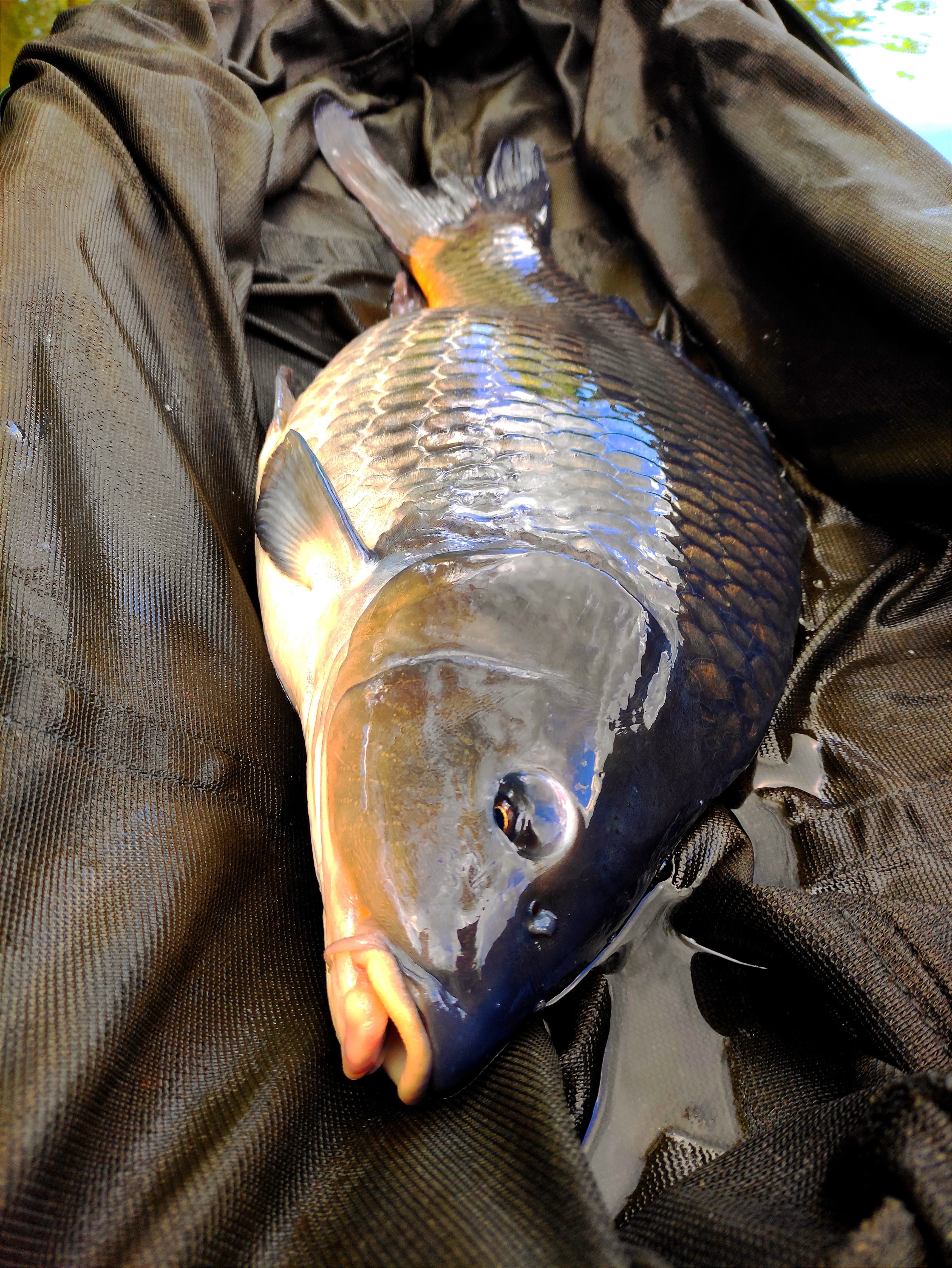 Na rybolov jen na krátkou chvíli