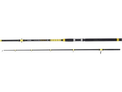 Fanatic Catfish 3,0 m 200 - 400 g