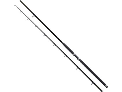 Giants Fishing prut Deluxe Catfish 2,4m 400g