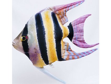 Skalára amazonská - 51 cm polštářek