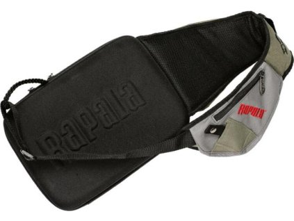 42194283 8703 496D B5D2 E45B958E6626 46006 1